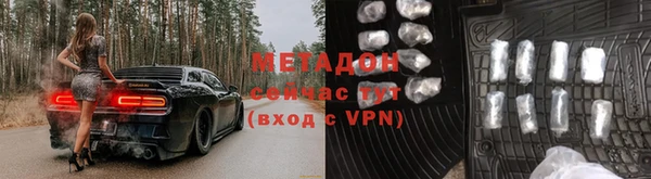 хмурый Аркадак