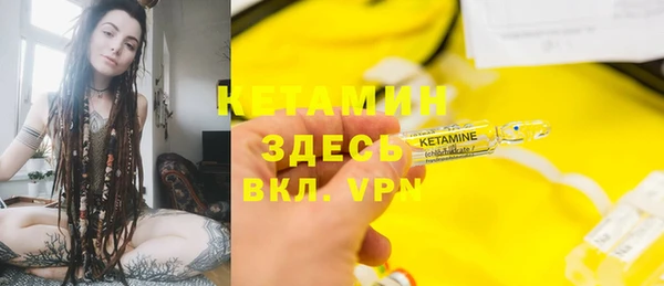 хмурый Аркадак