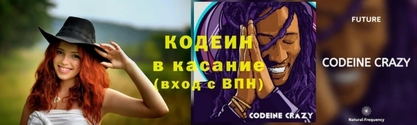 хмурый Аркадак