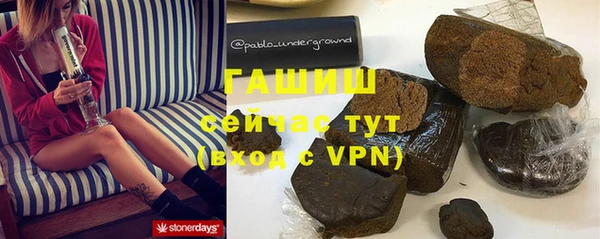 хмурый Аркадак