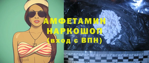 хмурый Аркадак