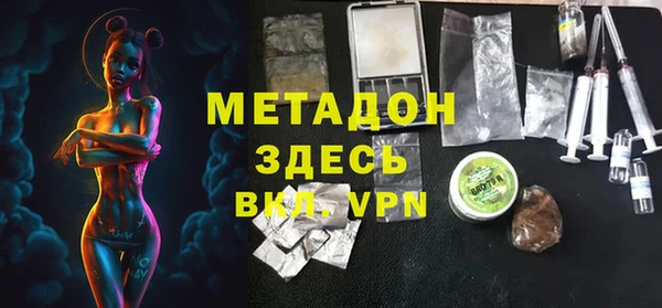 хмурый Аркадак