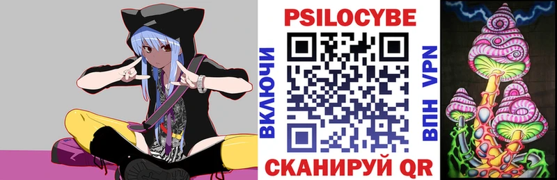 Купить где  Бавлы  Галлюциногенные грибы GOLDEN TEACHER 